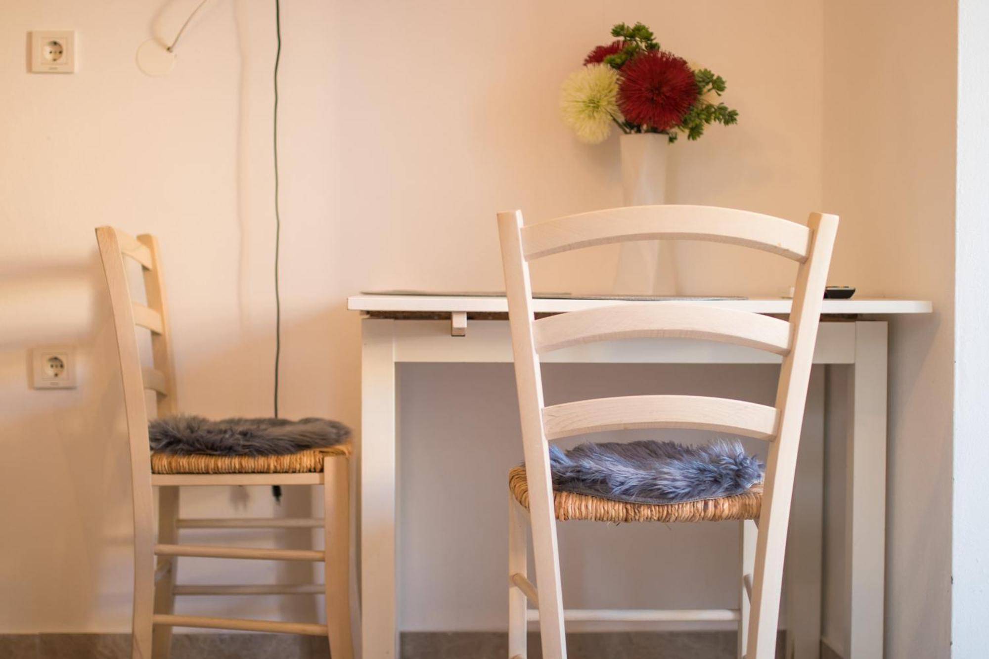 Flowers Apartment *